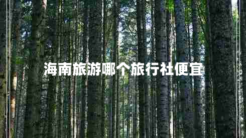 海南旅游哪個(gè)旅行社便宜