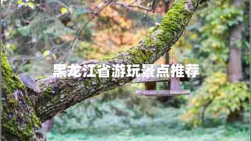 黑龍江省游玩景點(diǎn)推薦