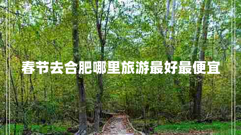 春節去合肥哪里旅游最好最便宜