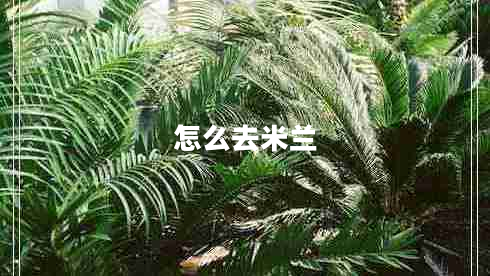 怎么去米蘭