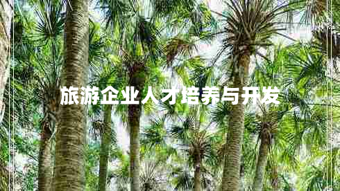 旅游企業(yè)人才培養與開(kāi)發(fā)