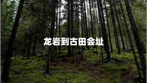 龍巖到古田會(huì )址