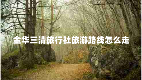 金華三清旅行社旅游路線(xiàn)怎么走