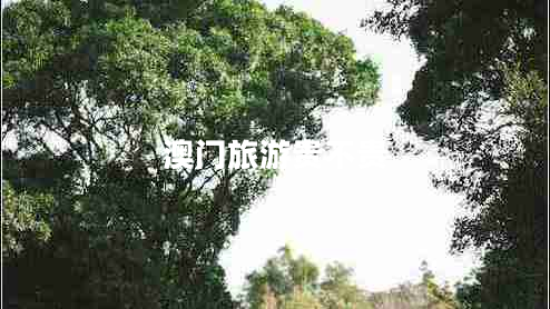 澳門(mén)旅游貴不貴
