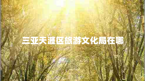 三亞天涯區旅游文化局在哪