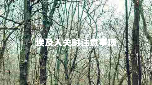 埃及入關(guān)時(shí)注意事項