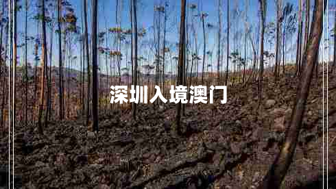 深圳入境澳門(mén)