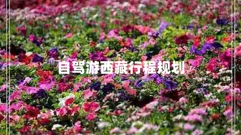 自駕游西藏行程規劃
