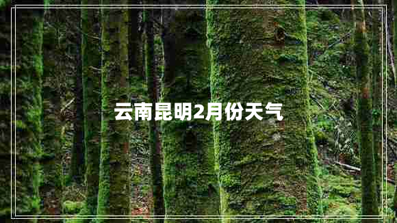 云南昆明2月份天氣