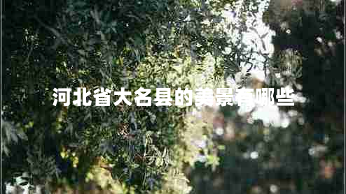 河北省大名縣的美景有哪些