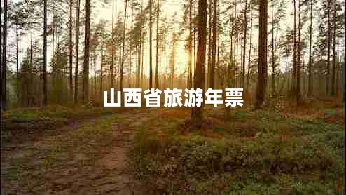山西省旅游年票