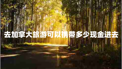 去加拿大旅游可以攜帶多少現金進(jìn)去
