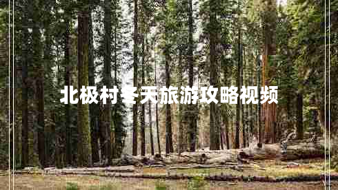 北極村冬天旅游攻略視頻