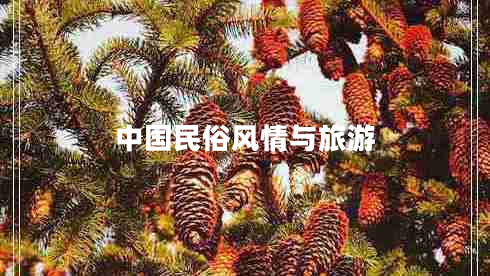 中國民俗風(fēng)情與旅游