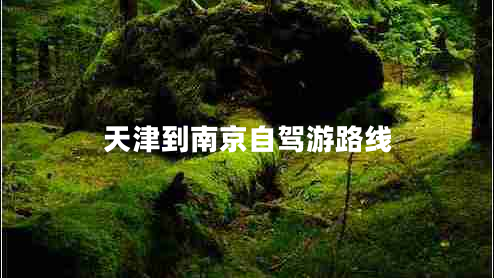 天津到南京自駕游路線(xiàn)