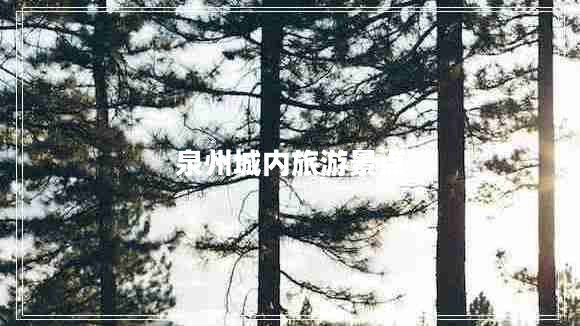泉州城內旅游景點(diǎn)