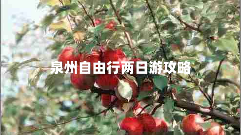 泉州自由行兩日游攻略