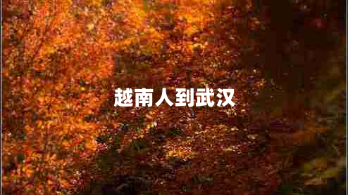 越南人到武漢