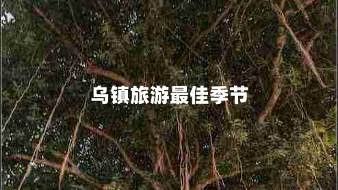 烏鎮旅游最佳季節