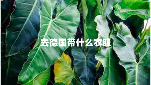 去德國帶什么衣服