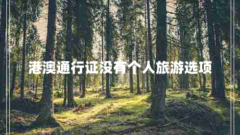 港澳通行證沒(méi)有個(gè)人旅游選項