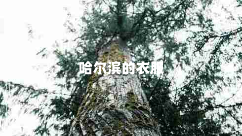 哈爾濱的衣服