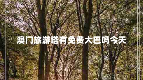 澳門(mén)旅游塔有免費大巴嗎今天