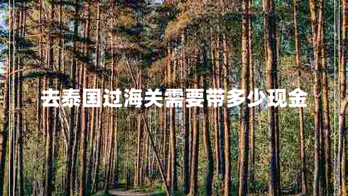 去泰國過(guò)海關(guān)需要帶多少現金