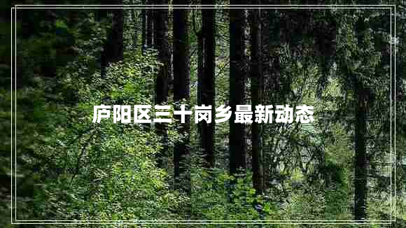 廬陽(yáng)區三十崗鄉最新動(dòng)態(tài)