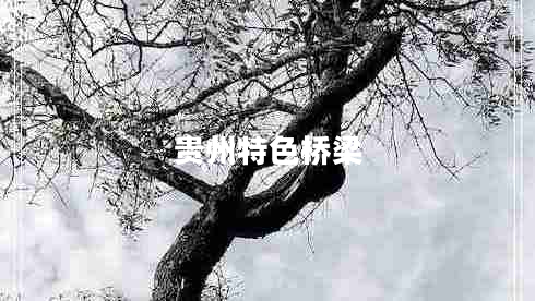 貴州特色橋梁