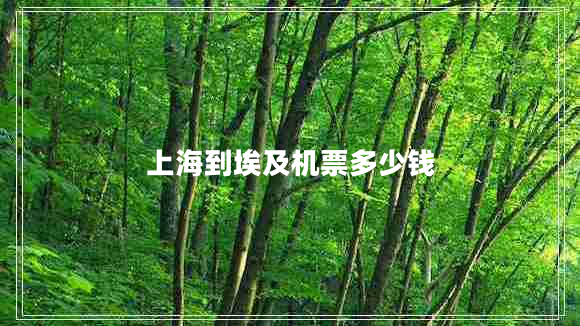 上海到埃及機票多少錢(qián)