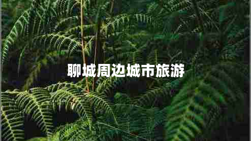 聊城周邊城市旅游
