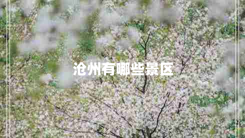 滄州有哪些景區