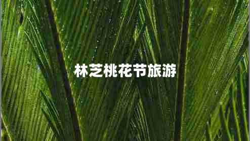 林芝桃花節旅游