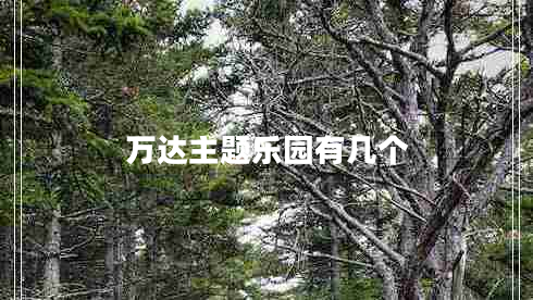 萬(wàn)達主題樂(lè )園有幾個(gè)