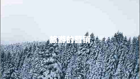 旅游的營(yíng)銷(xiāo)