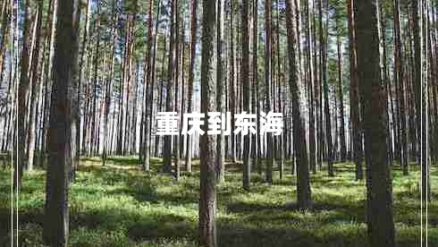 重慶到東海