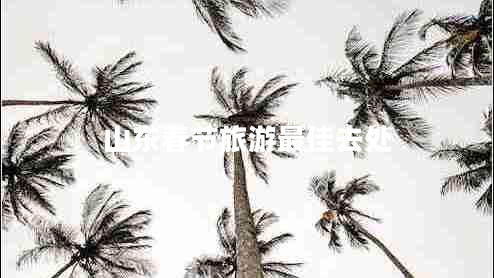 山東春節旅游最佳去處