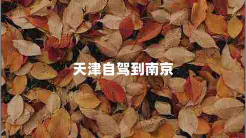 天津自駕到南京