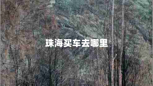 珠海買(mǎi)車(chē)去哪里