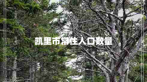 凱里市常住人口數量