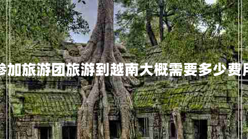 參加旅游團旅游到越南大概需要多少費用