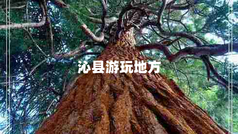 沁縣游玩地方