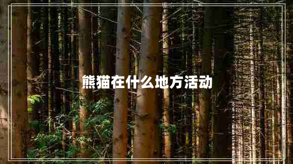 熊貓在什么地方活動(dòng)