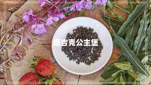 塔吉克公主堡