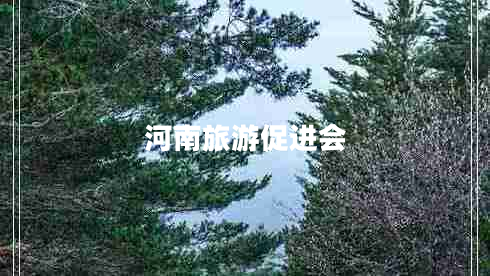 河南旅游促進(jìn)會(huì )