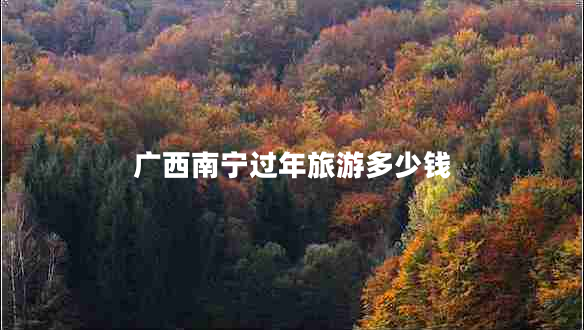 廣西南寧過(guò)年旅游多少錢(qián)