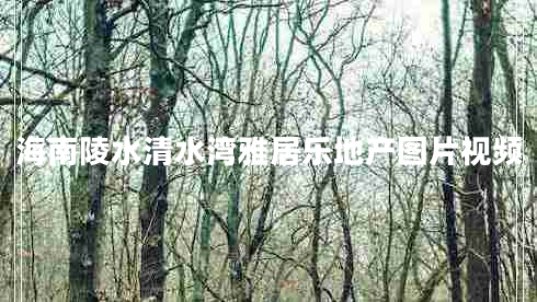海南陵水清水灣雅居樂(lè )地產(chǎn)圖片視頻
