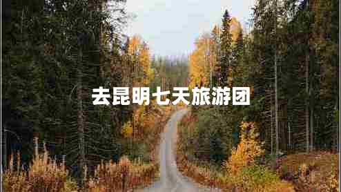 去昆明七天旅游團
