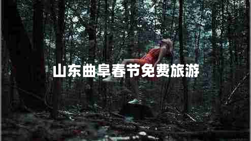 山東曲阜春節免費旅游